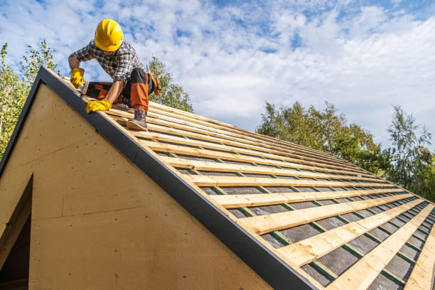 Roof Gutter Cleaning in Chetek, WI